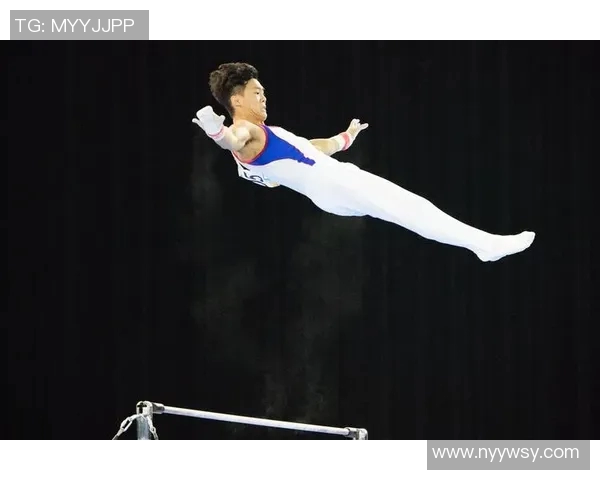 竞技体操评分系统解析与优化方案探讨：提升公平性与精准度的路径分析