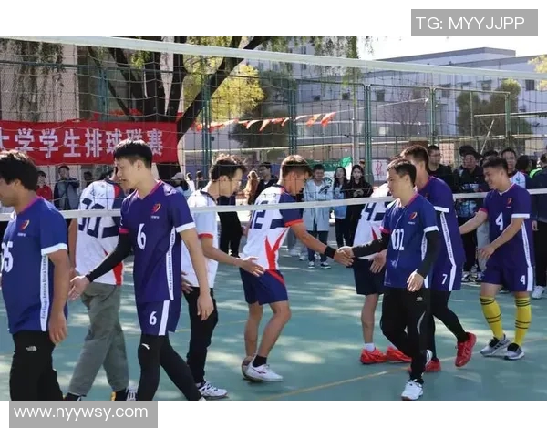 赛后分析：北京排球队与广州排球队的团队协作表现与战术探讨