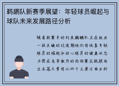 鹈鹕队新赛季展望：年轻球员崛起与球队未来发展路径分析